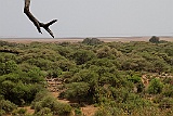 View from the picnic site at Lake Manyara